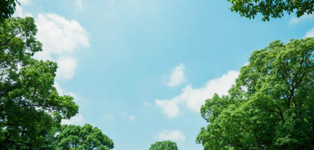 背景画像